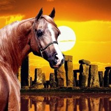 Схема вышивки «картина»