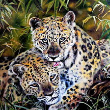 Схема вышивки «любовь в джунглях»