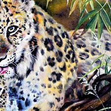 любовь в джунглях часть 2