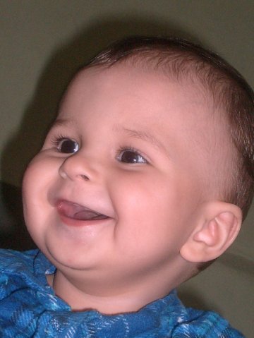 №491463 - оригинал