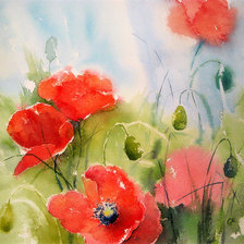 Схема вышивки «маки»