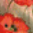 Предпросмотр схемы вышивки «Маки» (№491482)