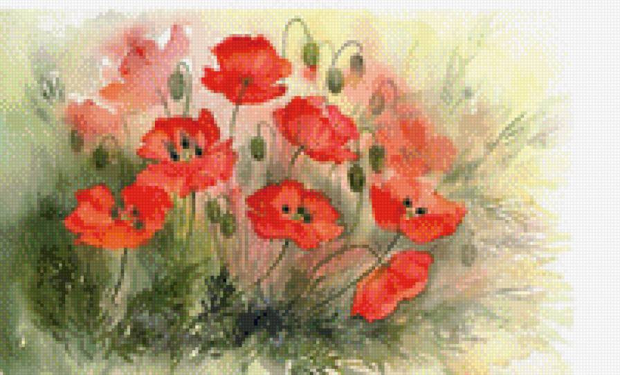 Маки - цветы, маки, поле - предпросмотр