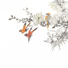 Птицы на ветке