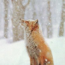 Схема вышивки «лиса»