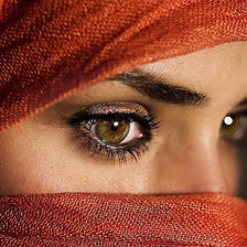 Схема вышивки «Взгляд»