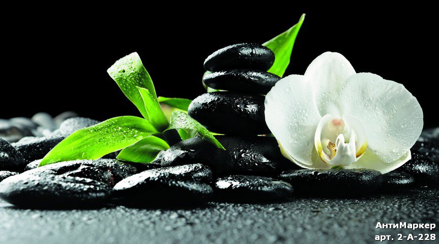 белая - оригинал