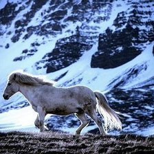 Схема вышивки «Ветер»