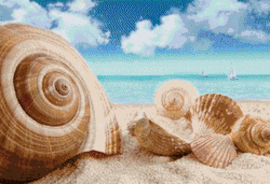 Ракушки - ракушки, море - предпросмотр