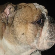 Схема вышивки «Уинстон»