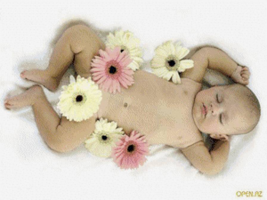 серия "дети" - дети.малыш.цветы.герберы - предпросмотр