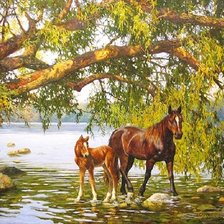 Схема вышивки «картина»