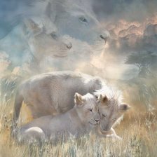 Схема вышивки «белые львы»