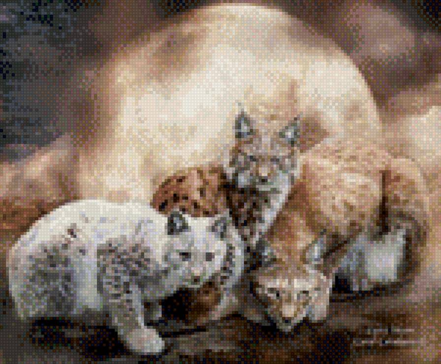 рыси - рыси - предпросмотр