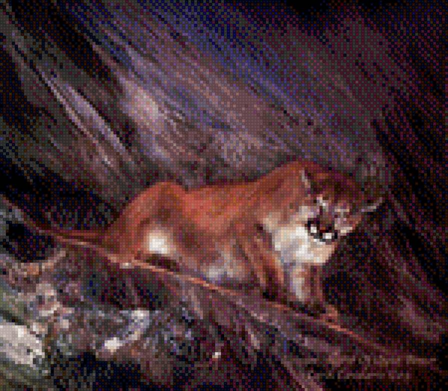 пума - пума - предпросмотр