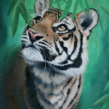 Схема вышивки «тигр»