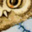 Предпросмотр схемы вышивки «Совушка» (№492118)