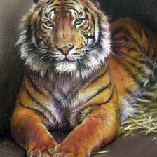 Схема вышивки «тигр»