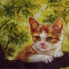 Схема вышивки «С высока»