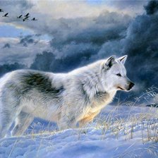 Схема вышивки «Волк»