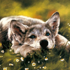 Схема вышивки «волчонок»