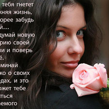 Схема вышивки «№492294»