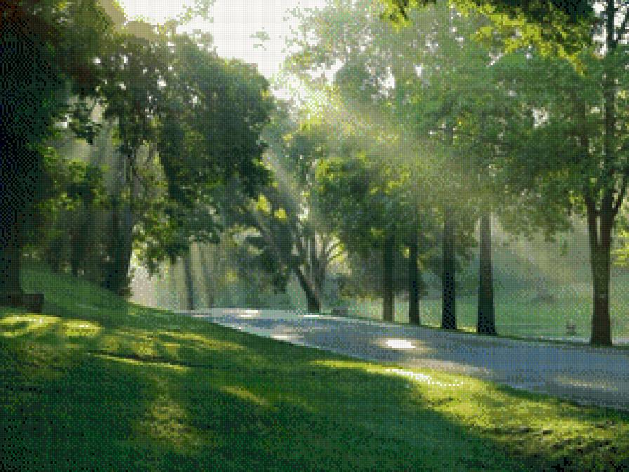 Зеленая ллея - пейзаж, лето, лес - предпросмотр