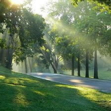 Схема вышивки «Зеленая ллея»
