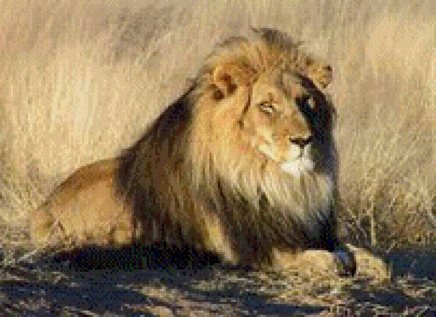 лев - предпросмотр