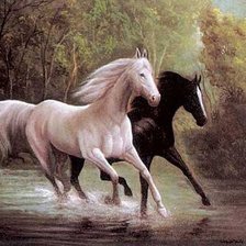 Схема вышивки «№492393»