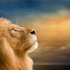 Схема вышивки «№492398»