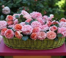 Схема вышивки «корзина цветов»