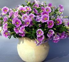 Схема вышивки «Ваза»