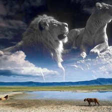 Схема вышивки «№492420»