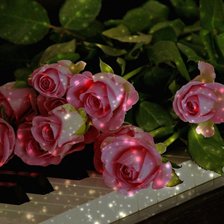 Схема вышивки «456896»