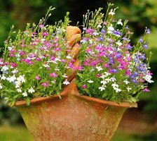 Схема вышивки «корзина цветов»