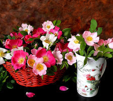 Схема вышивки «6958485»