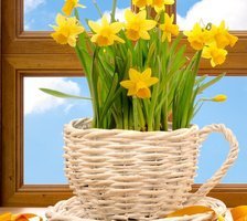 Схема вышивки «Ирисы»