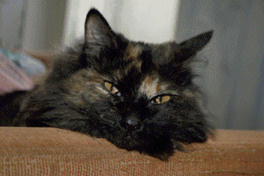 №492539 - предпросмотр