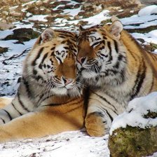 Схема вышивки «№492567»