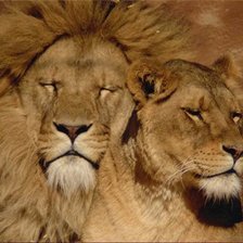 Схема вышивки «№492590»