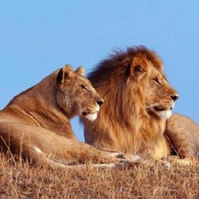 Схема вышивки «№492600»