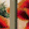 Предпросмотр схемы вышивки «маки» (№492640)