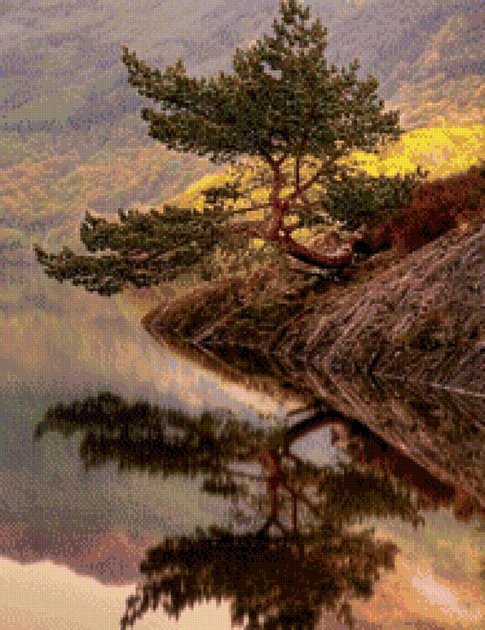 Отражения в воде - горы, озеро, природа, дерево - предпросмотр