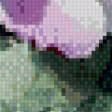 Предпросмотр схемы вышивки «Розовые цветы» (№492661)