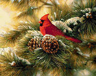 Схема вышивки «птицы»