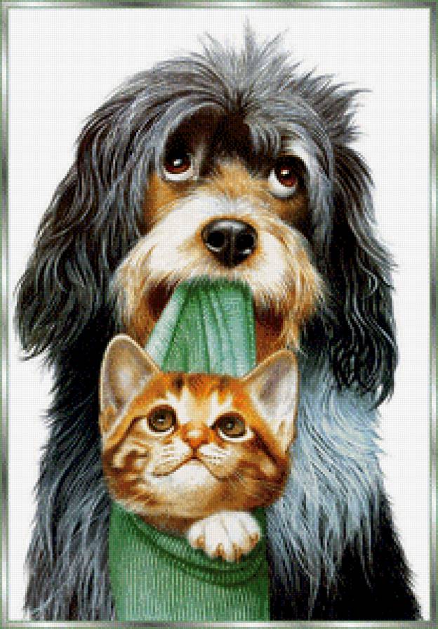 Любовь - кошки, котята, собаки - предпросмотр