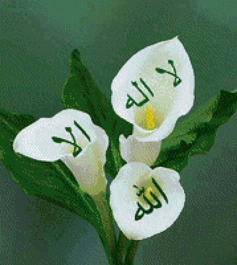 allah - allah - предпросмотр