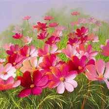 Краски лета