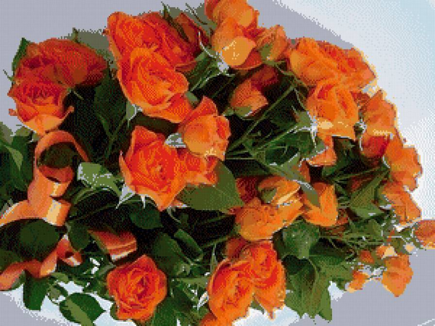 №492979 - предпросмотр